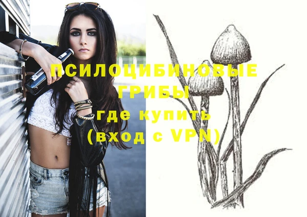 мяу мяу мука Балабаново