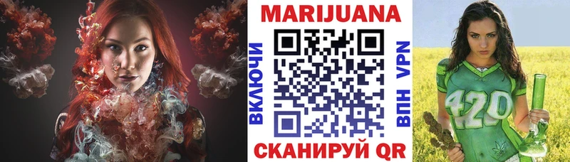 где можно купить   Миньяр  ОМГ ОМГ онион  Шишки марихуана сатива 